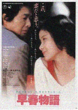 灰姑娘真爱之履电影海报